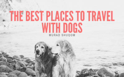 The Best Places to Travel with Dogs