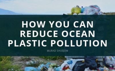 How You Can Help Reduce Ocean Plastic Pollution