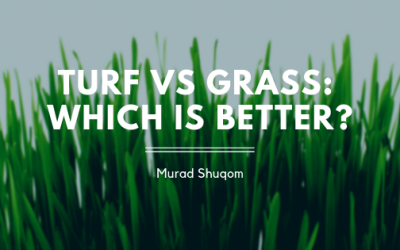 Turf vs Grass: Which is Better?