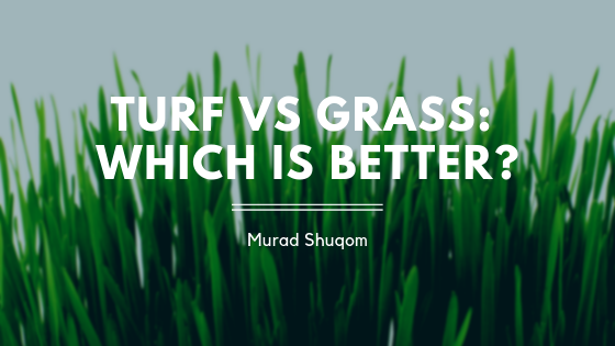 Turf Vs Grass Murad Shuqom