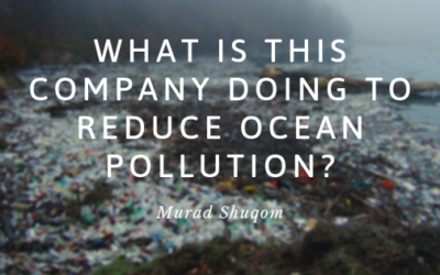 What Is This Company Doing to Reduce Ocean Pollution?