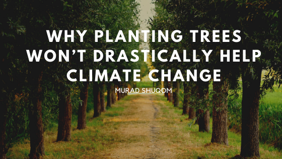 Why Planting Trees Won’t Drastically Help Climate Change