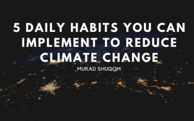 5 Daily Habits You Can Implement To Reduce Climate Change