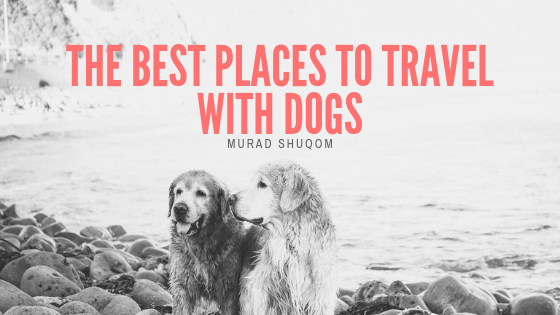 Dog Destinations Murad Shuqom