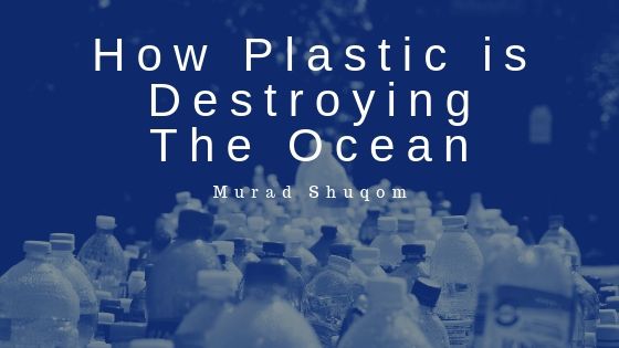 How Plastic is Destroying The Ocean