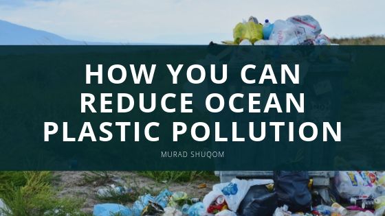 How You Can Reduce Ocean Plastic Pollution